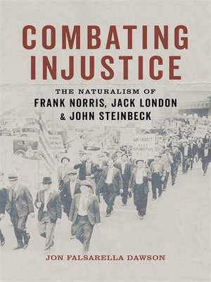 cover image of Combating Injustice